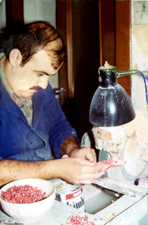 Vincenzo Del pezzo mentre è  intento alla preparazione di un ramo grezzo di coralloper la lavorazione di una statua